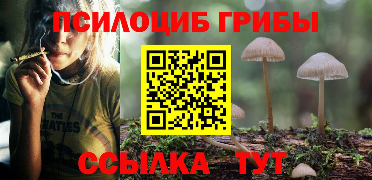 Галлюциногенные грибы Psilocybe Электрогорск